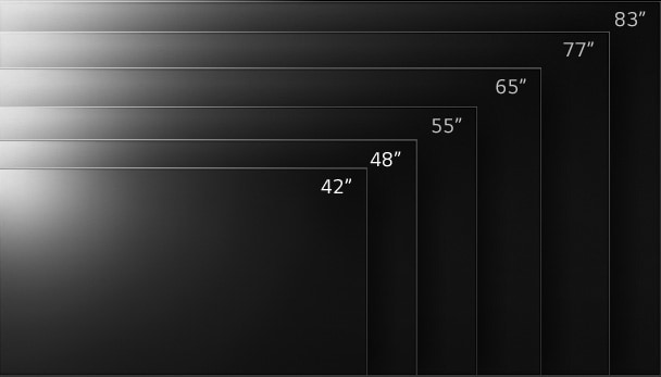 Every size of the LG OLED appears on the screen size from the smallest to largest model
